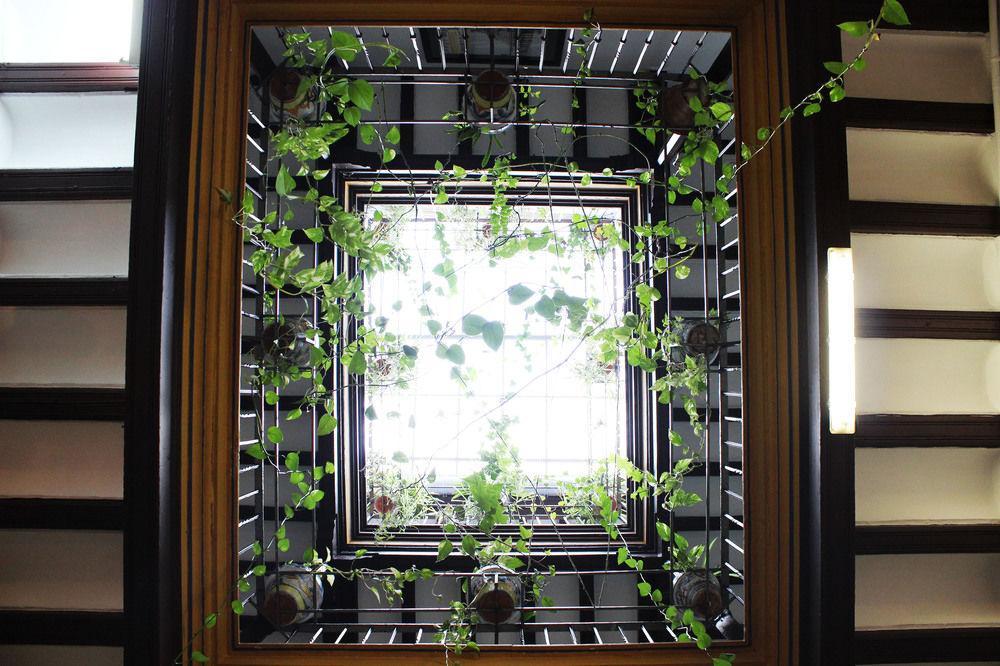 Lis Guest house