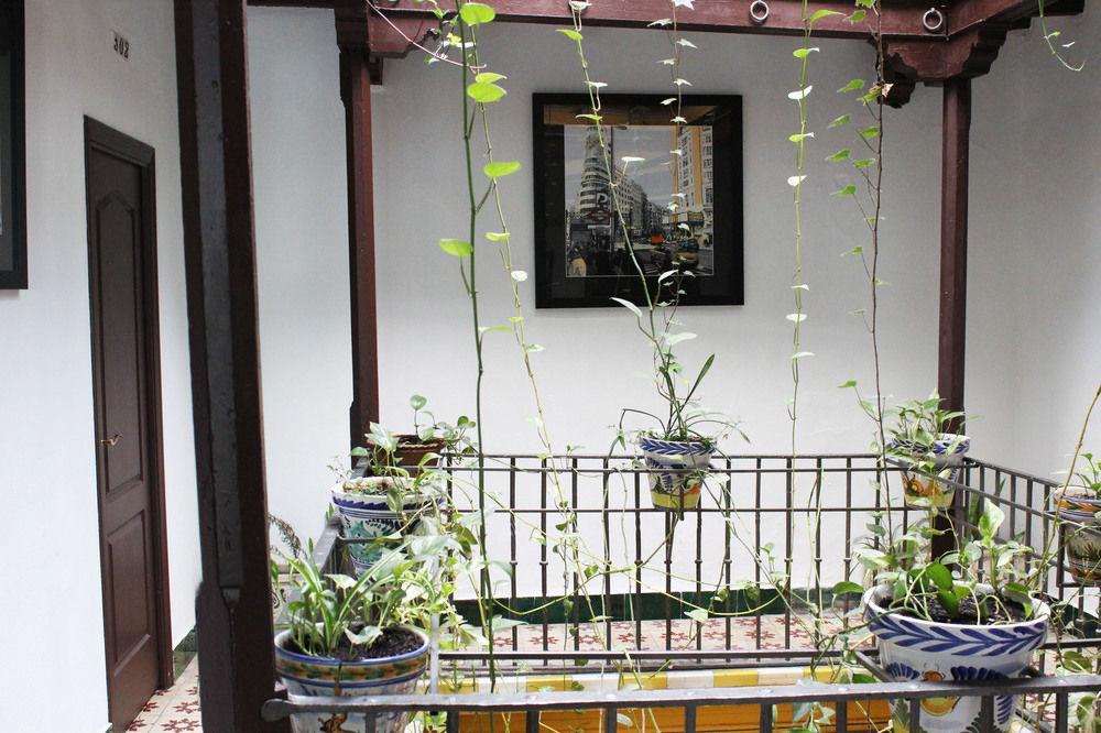 Lis Guest house