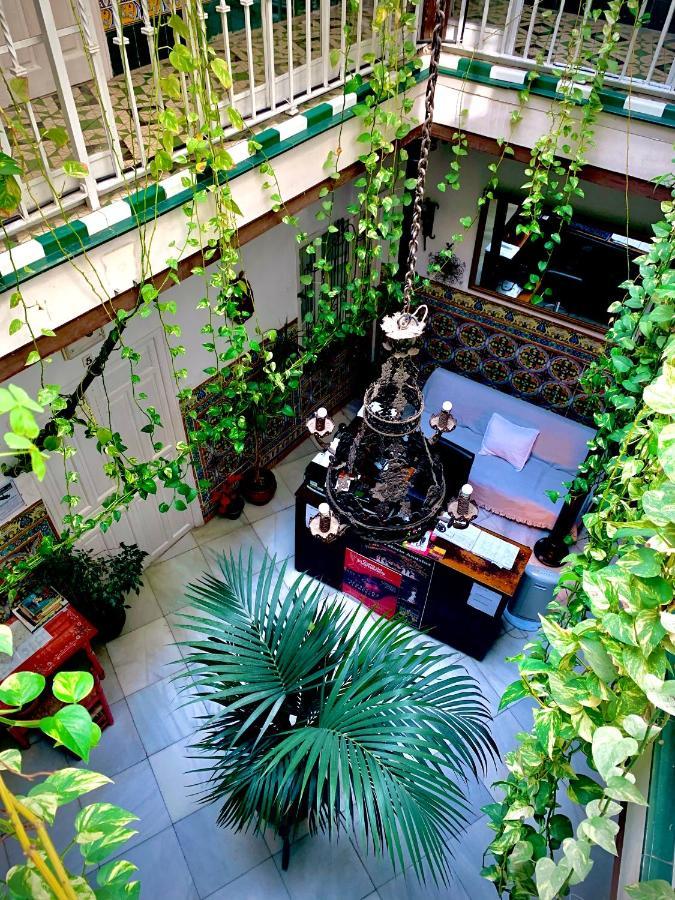 Guest house Lis Seville